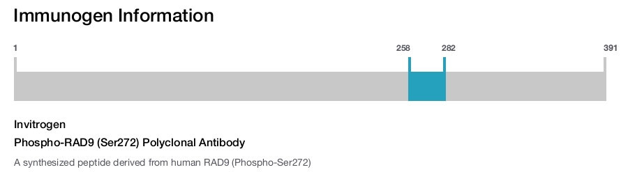 Phospho-RAD9 (Ser272) Polyclonal Antibody