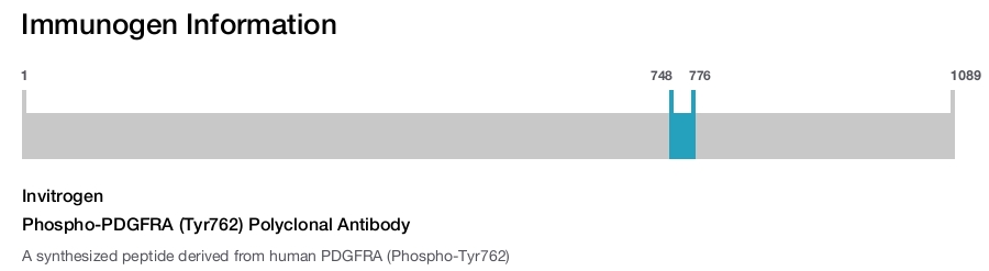 Phospho-PDGFRA (Tyr762) Polyclonal Antibody