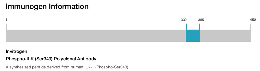 Phospho-ILK (Ser343) Polyclonal Antibody