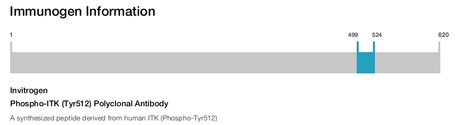 Phospho-ITK (Tyr512) Polyclonal Antibody