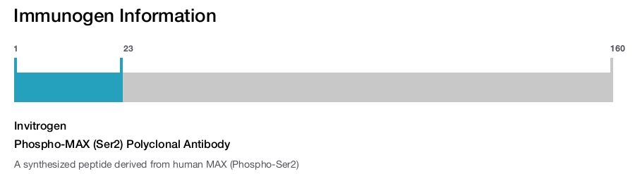 Phospho-MAX (Ser2) Polyclonal Antibody