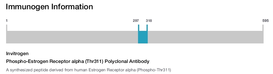 Phospho-Estrogen Receptor alpha (Thr311) Polyclonal Antibody