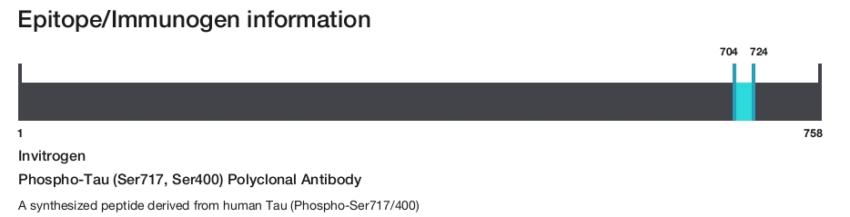 Phospho-Tau (Ser717, Ser400) Polyclonal Antibody