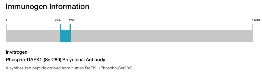 Phospho-DAPK1 (Ser289) Polyclonal Antibody