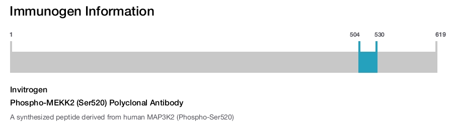 Phospho-MEKK2 (Ser520) Polyclonal Antibody