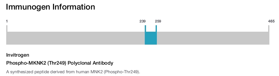 Phospho-MKNK2 (Thr249) Polyclonal Antibody