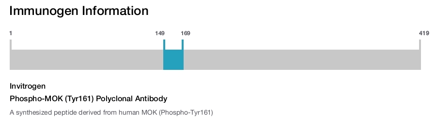 Phospho-MOK (Tyr161) Polyclonal Antibody