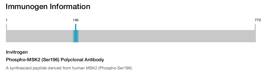Phospho-MSK2 (Ser196) Polyclonal Antibody