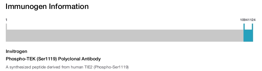 Phospho-TEK (Ser1119) Polyclonal Antibody