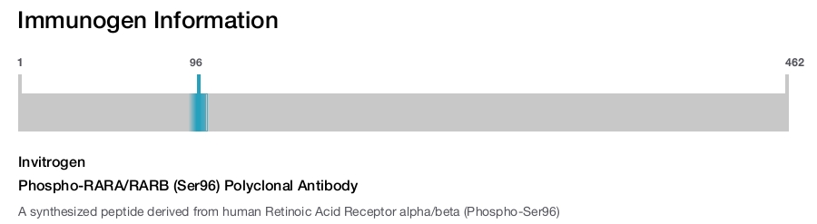Phospho-RARA/RARB (Ser96) Polyclonal Antibody