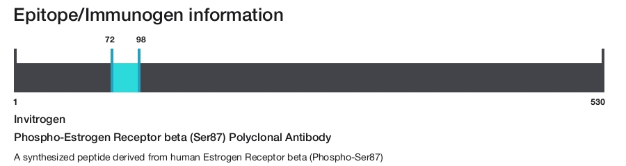 Phospho-Estrogen Receptor beta (Ser87) Polyclonal Antibody