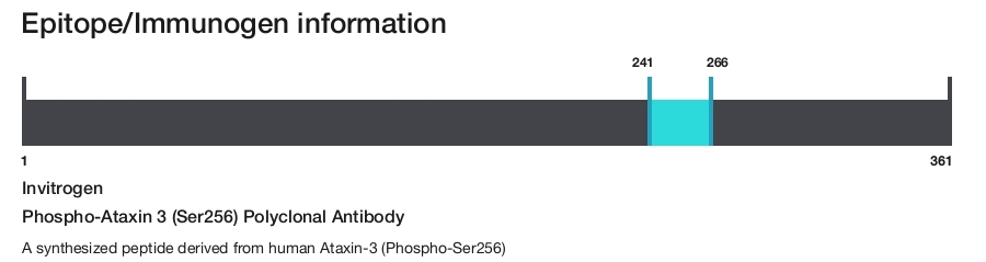 Phospho-Ataxin 3 (Ser256) Polyclonal Antibody