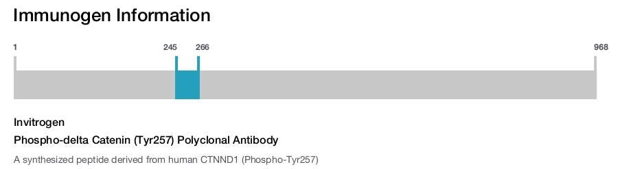 Phospho-delta Catenin (Tyr257) Polyclonal Antibody