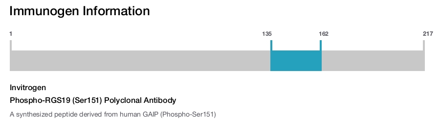 Phospho-RGS19 (Ser151) Polyclonal Antibody