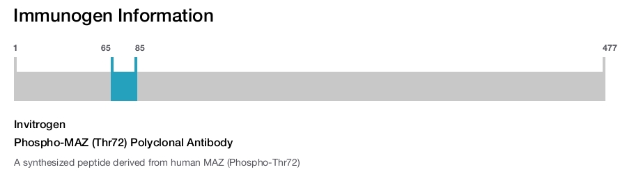 Phospho-MAZ (Thr72) Polyclonal Antibody