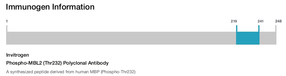 Phospho-MBL2 (Thr232) Polyclonal Antibody