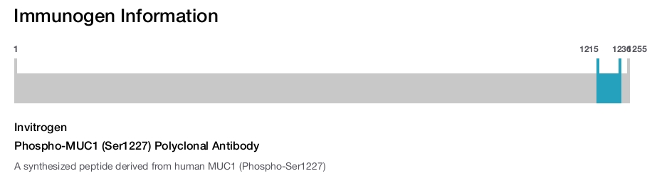 Phospho-MUC1 (Ser1227) Polyclonal Antibody