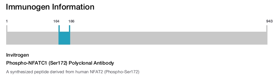 Phospho-NFATC1 (Ser172) Polyclonal Antibody