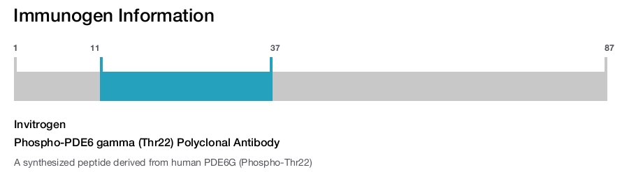 Phospho-PDE6 gamma (Thr22) Polyclonal Antibody