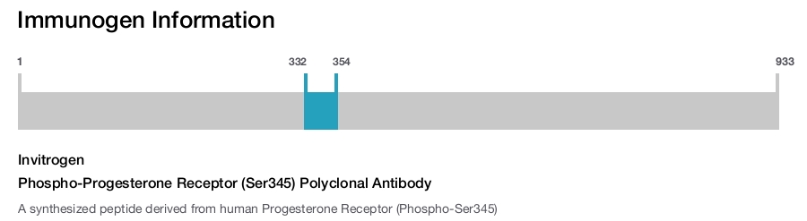 Phospho-Progesterone Receptor (Ser345) Polyclonal Antibody