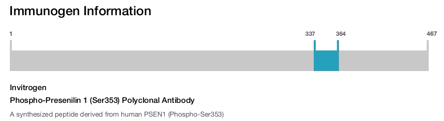 Phospho-Presenilin 1 (Ser353) Polyclonal Antibody
