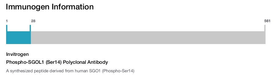 Phospho-SGOL1 (Ser14) Polyclonal Antibody