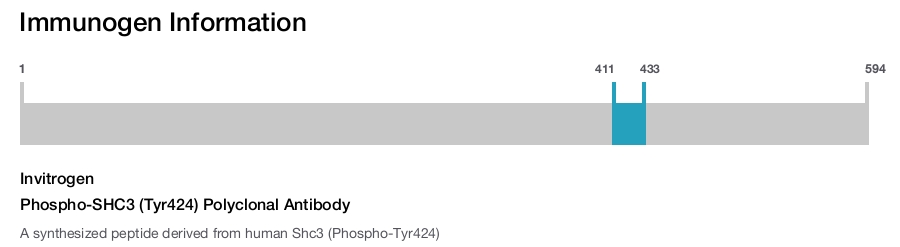 Phospho-SHC3 (Tyr424) Polyclonal Antibody