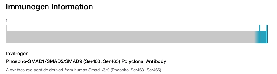 Phospho-SMAD1/SMAD5/SMAD9 (Ser463, Ser465) Polyclonal Antibody