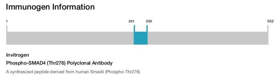 Phospho-SMAD4 (Thr276) Polyclonal Antibody