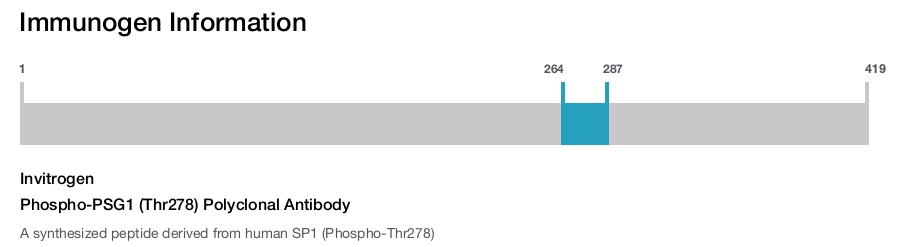Phospho-PSG1 (Thr278) Polyclonal Antibody