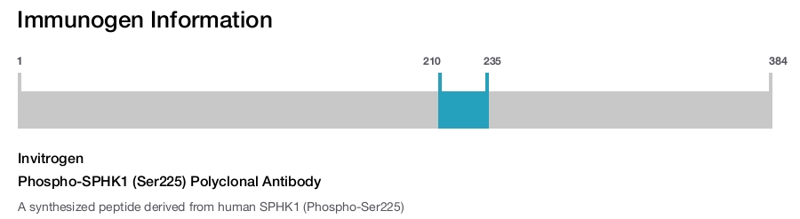 Phospho-SPHK1 (Ser225) Polyclonal Antibody