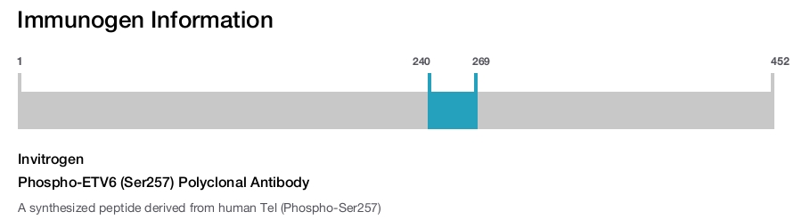 Phospho-ETV6 (Ser257) Polyclonal Antibody