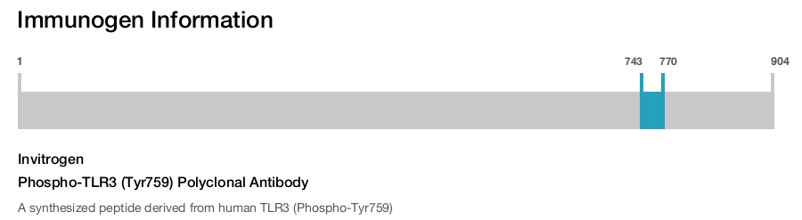 Phospho-TLR3 (Tyr759) Polyclonal Antibody