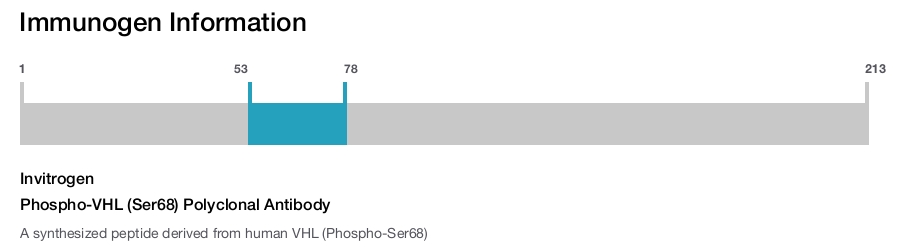 Phospho-VHL (Ser68) Polyclonal Antibody