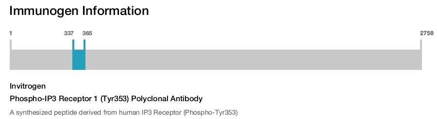 Phospho-IP3 Receptor 1 (Tyr353) Polyclonal Antibody