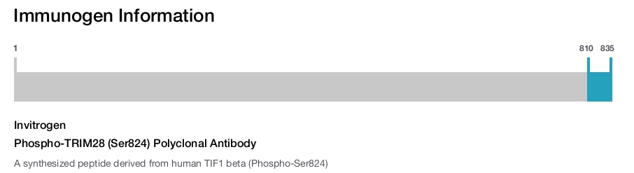 Phospho-TRIM28 (Ser824) Polyclonal Antibody