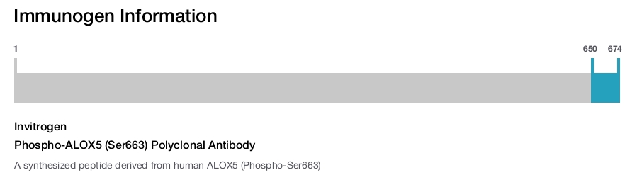 Phospho-ALOX5 (Ser663) Polyclonal Antibody