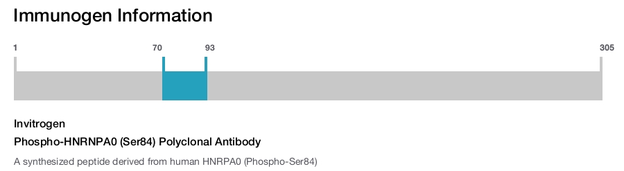 Phospho-HNRNPA0 (Ser84) Polyclonal Antibody