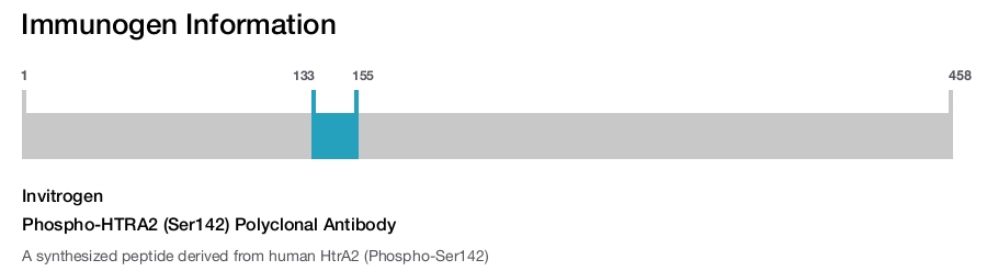 Phospho-HTRA2 (Ser142) Polyclonal Antibody