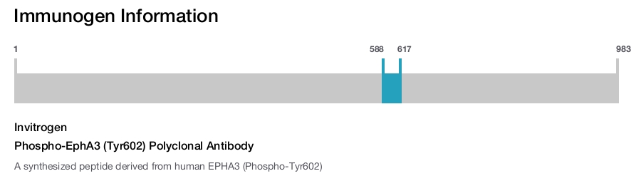 Phospho-EphA3 (Tyr602) Polyclonal Antibody