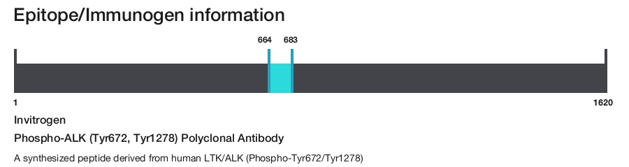Phospho-ALK (Tyr672, Tyr1278) Polyclonal Antibody
