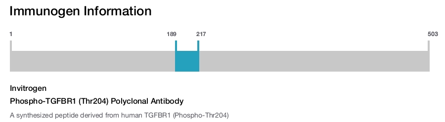 Phospho-TGFBR1 (Thr204) Polyclonal Antibody