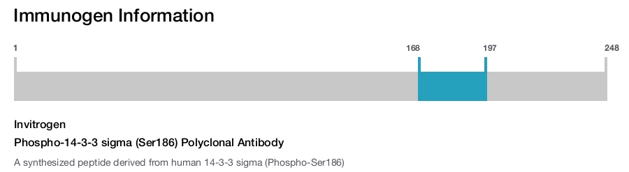 Phospho-14-3-3 sigma (Ser186) Polyclonal Antibody