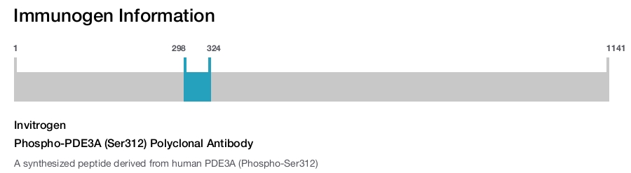 Phospho-PDE3A (Ser312) Polyclonal Antibody