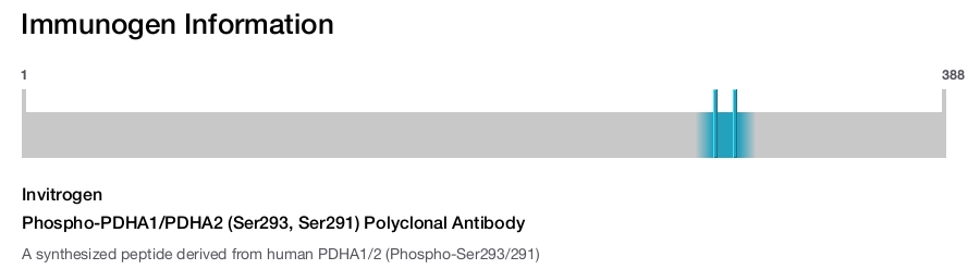 Phospho-PDHA1/PDHA2 (Ser293, Ser291) Polyclonal Antibody
