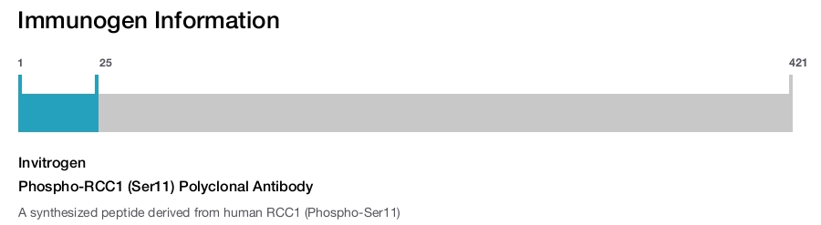 Phospho-RCC1 (Ser11) Polyclonal Antibody