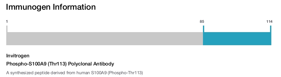 Phospho-S100A9 (Thr113) Polyclonal Antibody
