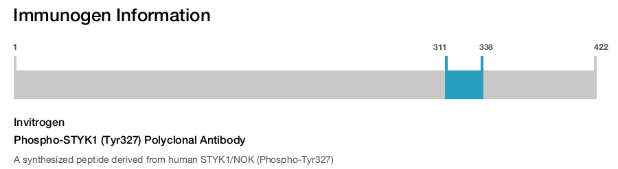 Phospho-STYK1 (Tyr327) Polyclonal Antibody