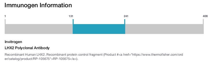 LHX2 Polyclonal Antibody