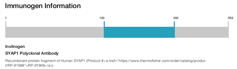 SYAP1 Polyclonal Antibody